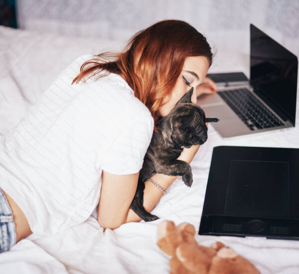 Pet friendly apartments