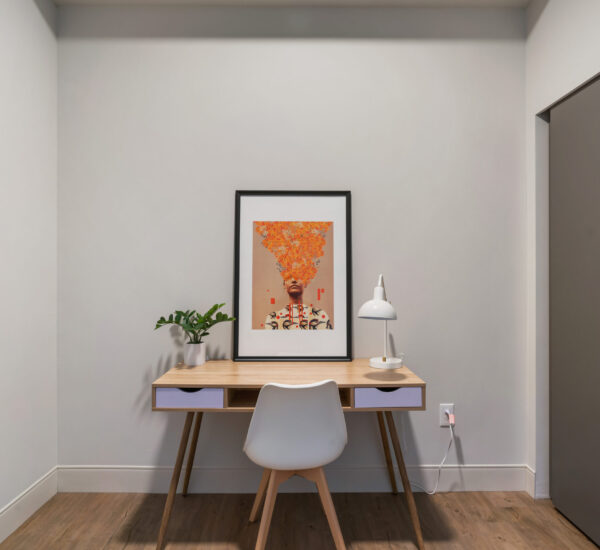 apartment closet and home office