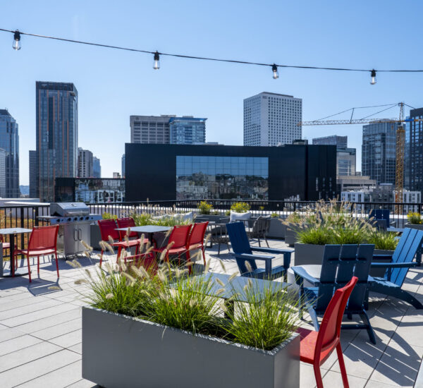 Rooftop view from Pivot Apartments
