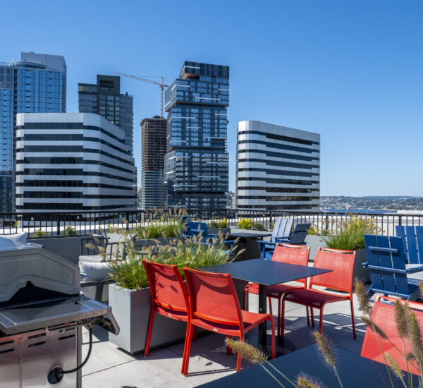 Rooftop view from Pivot Apartments